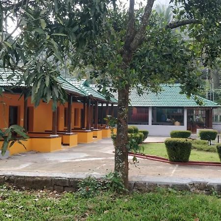 Sherlock Jungle Retreat Srimangala Dış mekan fotoğraf