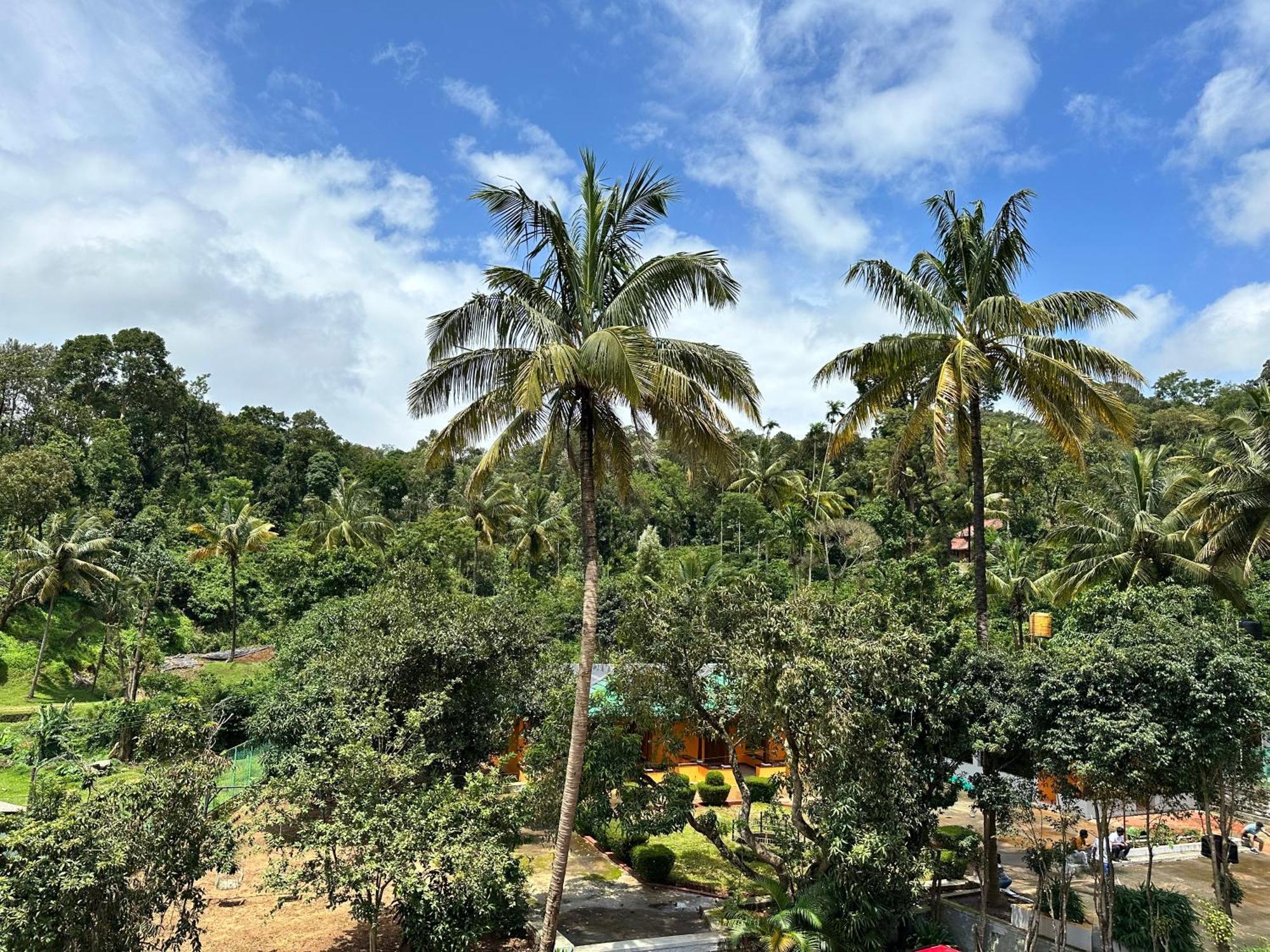 Sherlock Jungle Retreat Srimangala Dış mekan fotoğraf