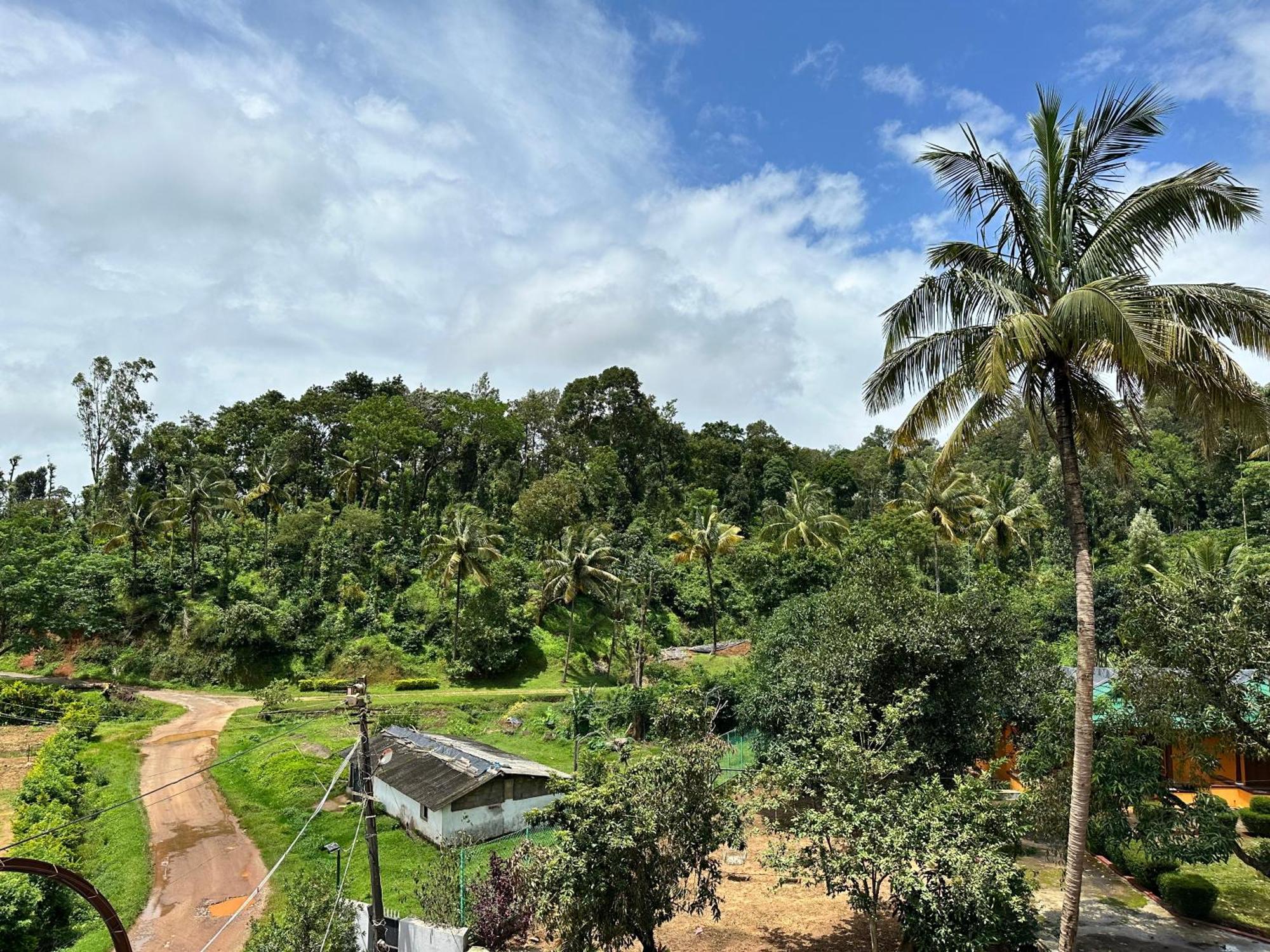 Sherlock Jungle Retreat Srimangala Dış mekan fotoğraf