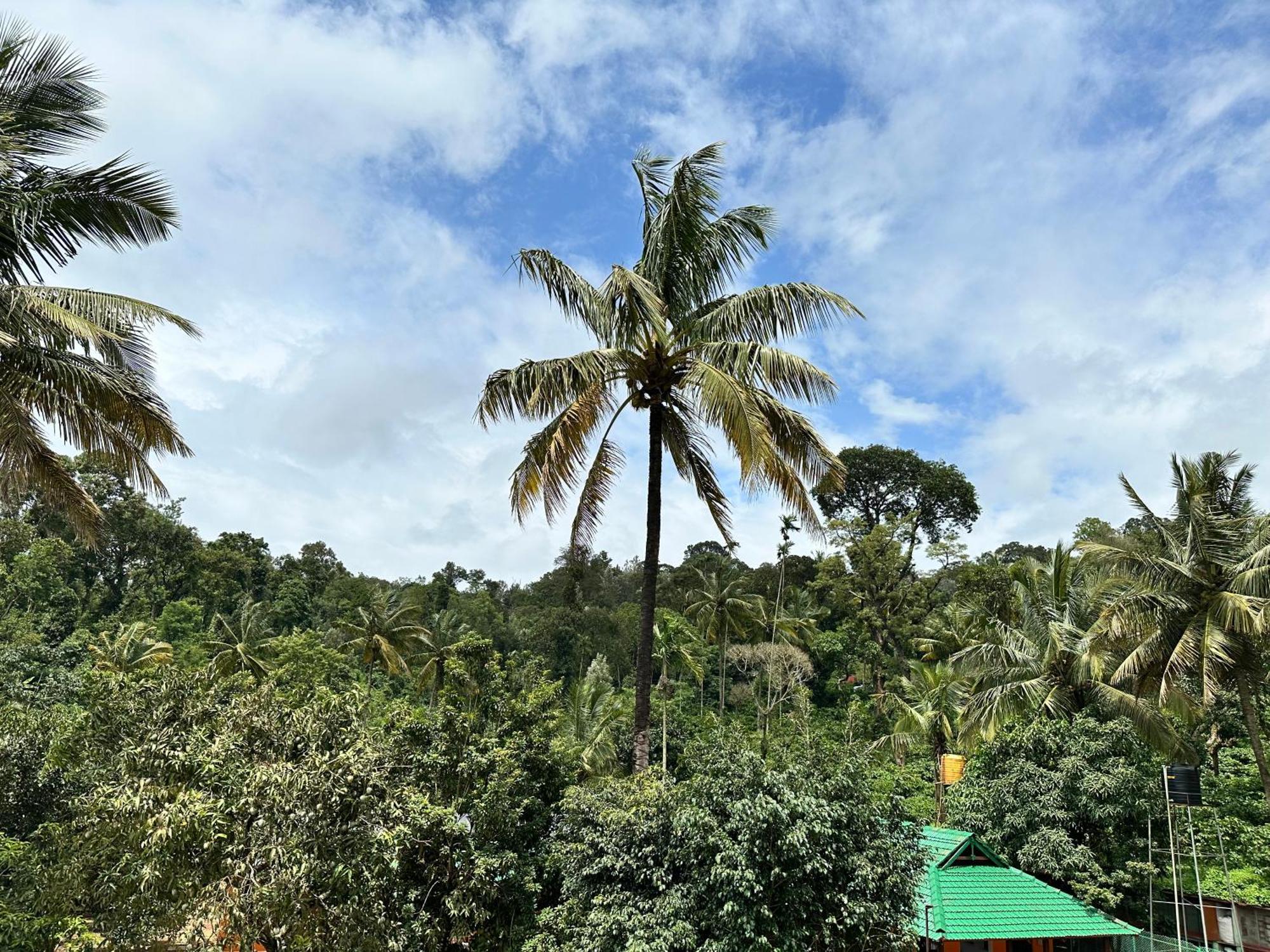 Sherlock Jungle Retreat Srimangala Dış mekan fotoğraf