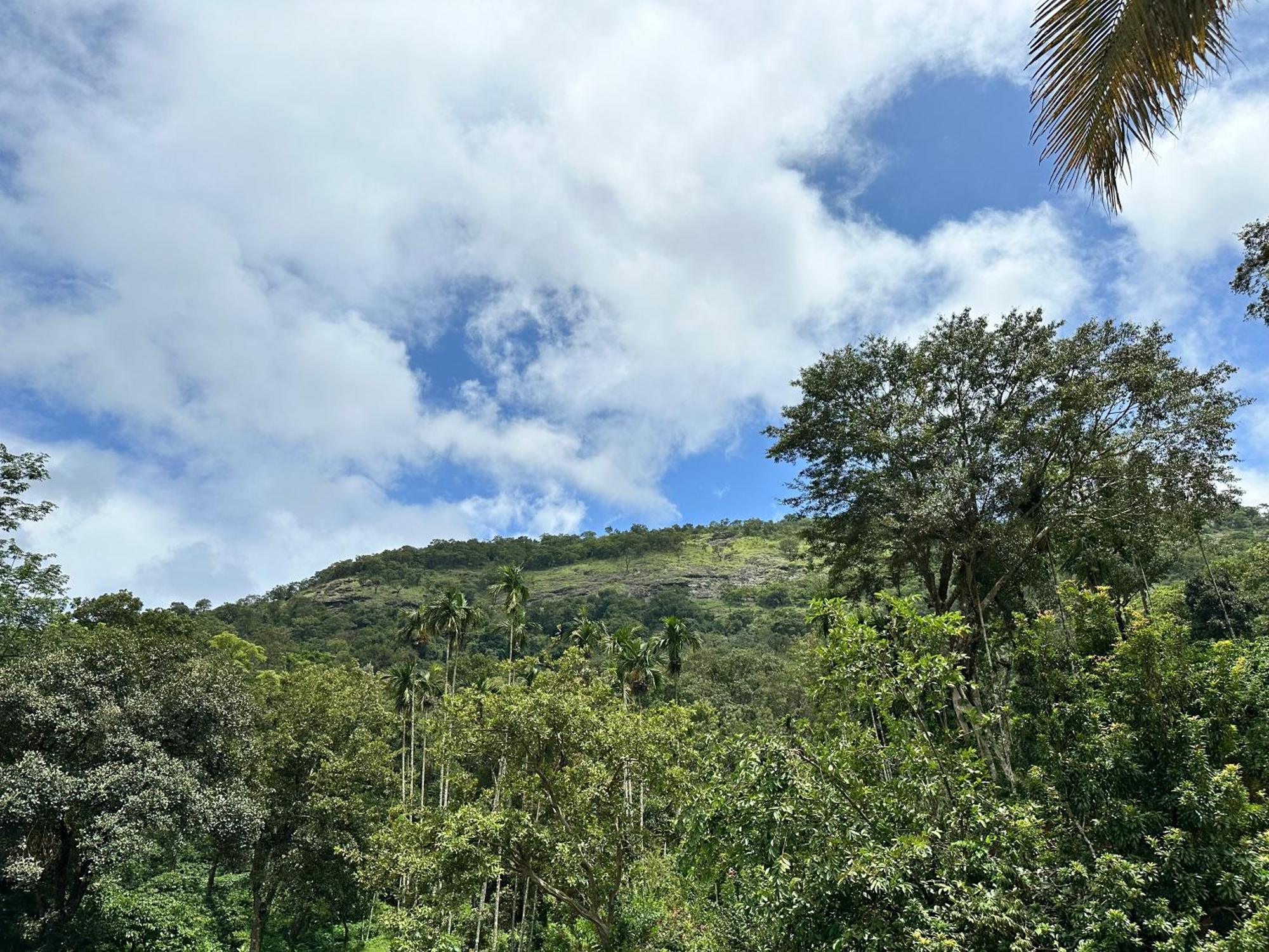 Sherlock Jungle Retreat Srimangala Dış mekan fotoğraf