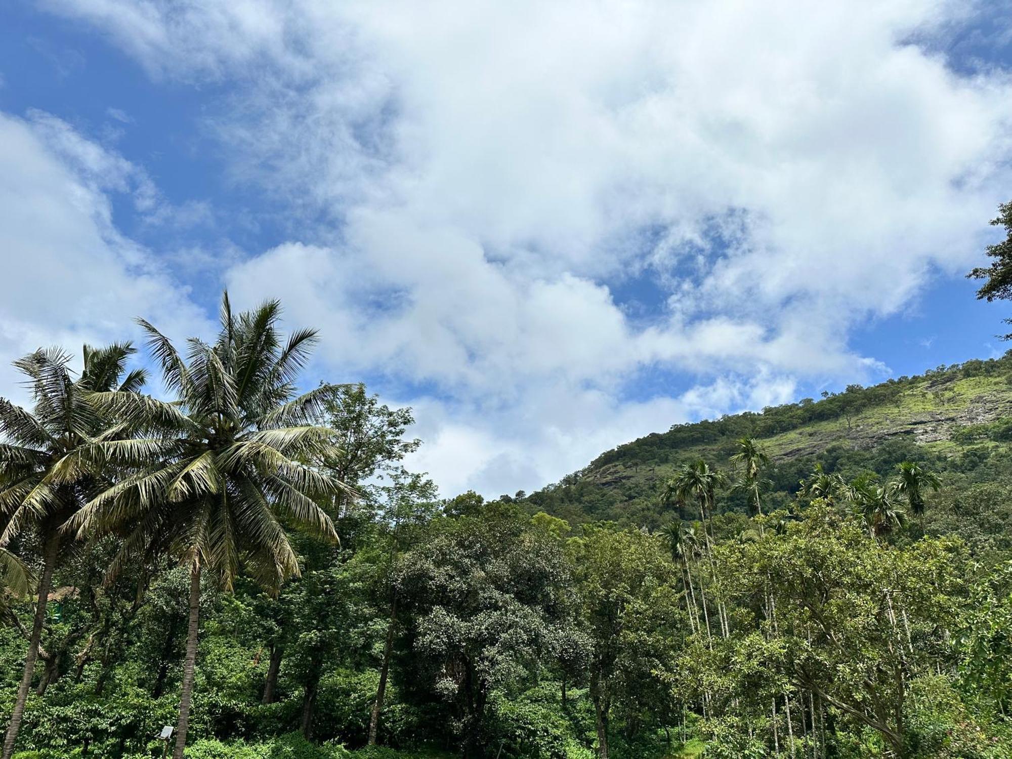 Sherlock Jungle Retreat Srimangala Dış mekan fotoğraf