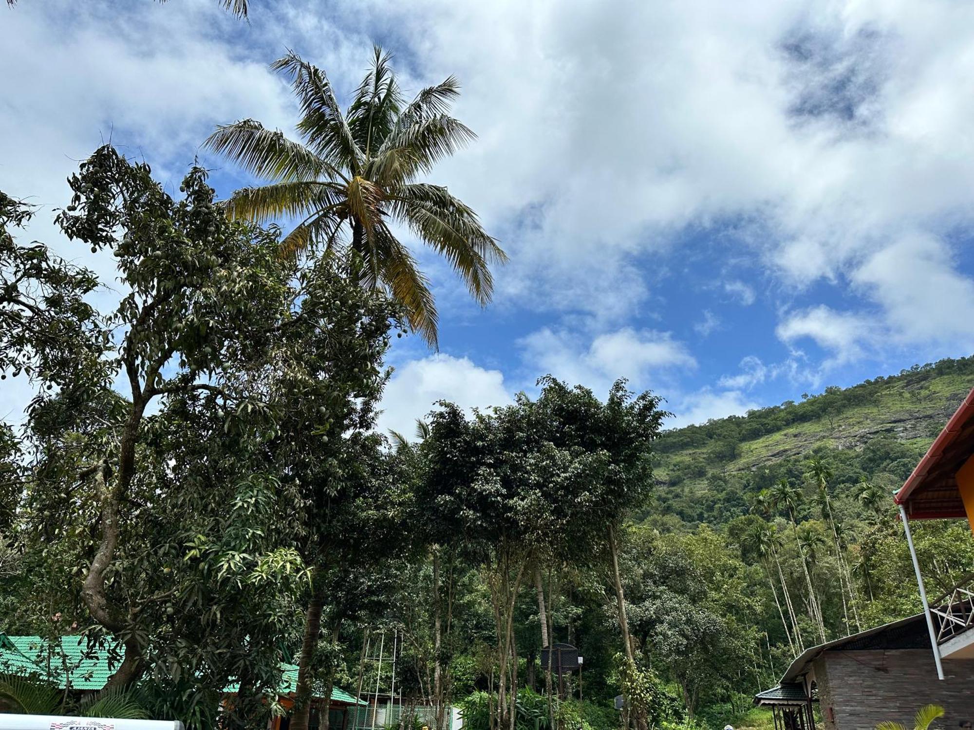 Sherlock Jungle Retreat Srimangala Dış mekan fotoğraf