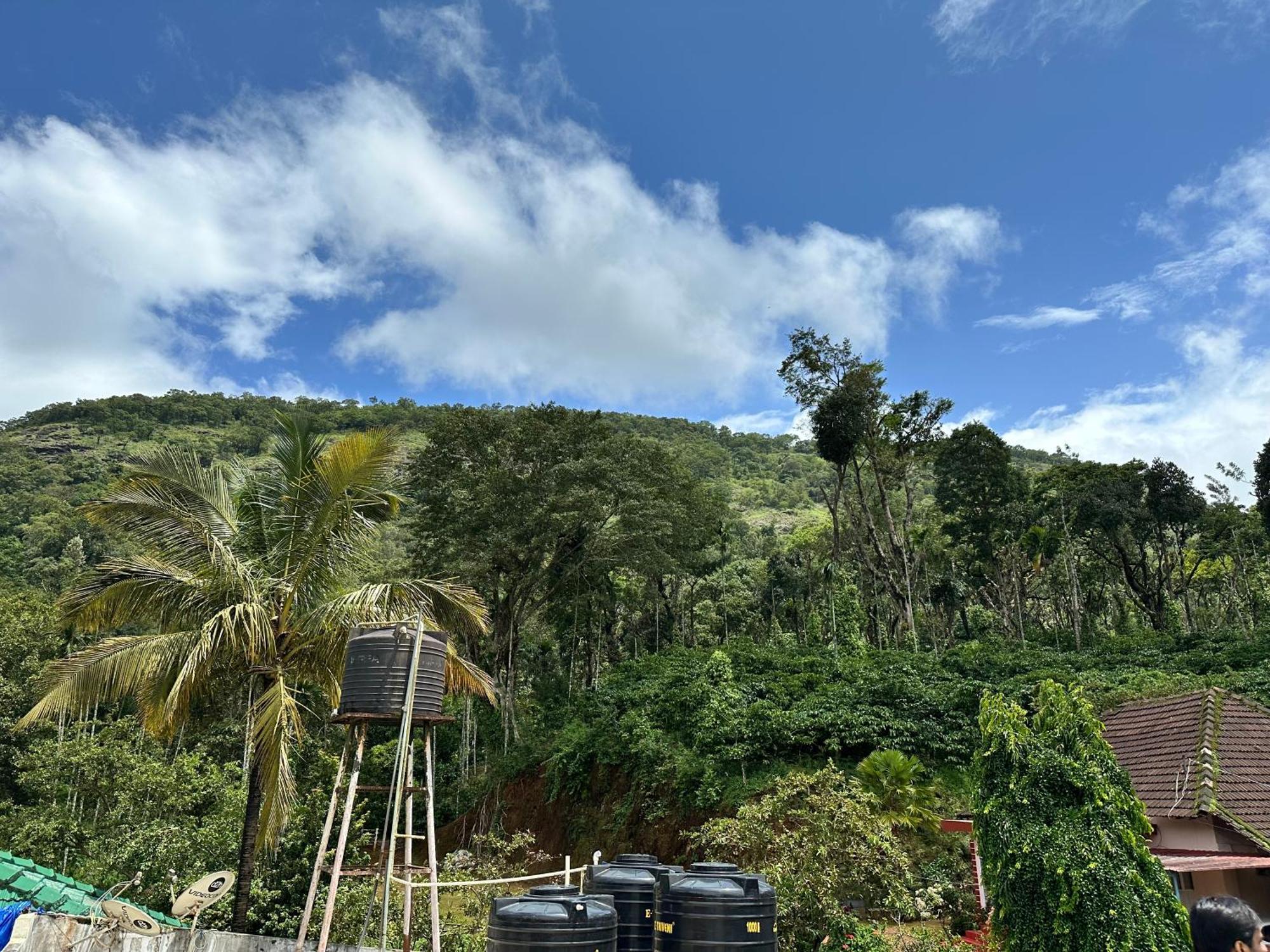 Sherlock Jungle Retreat Srimangala Dış mekan fotoğraf