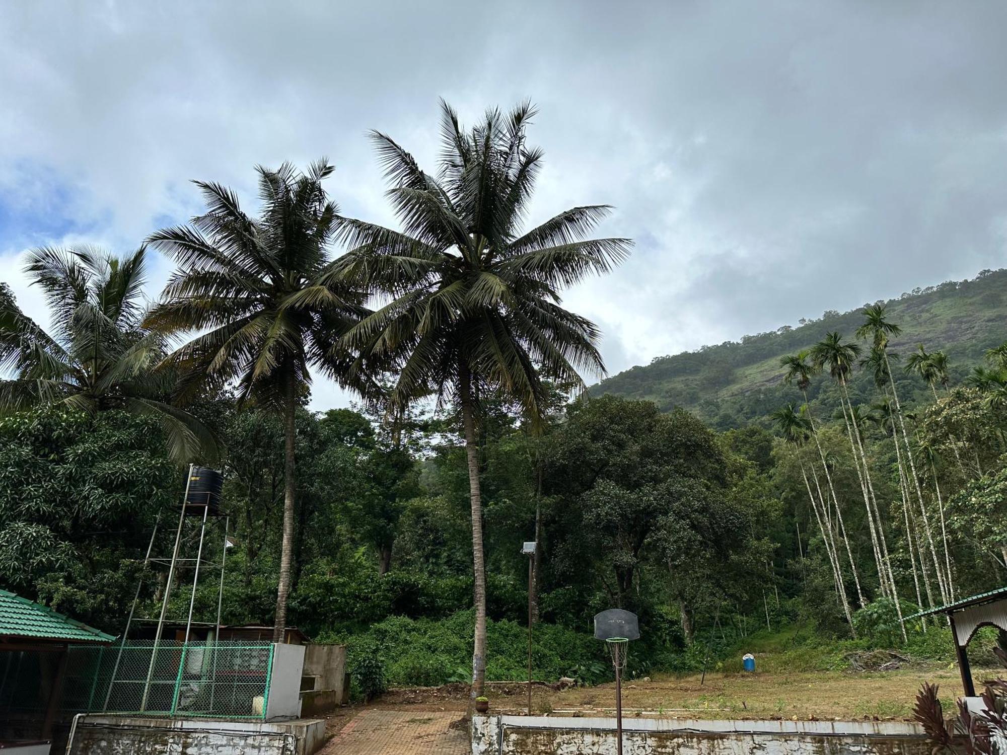 Sherlock Jungle Retreat Srimangala Dış mekan fotoğraf