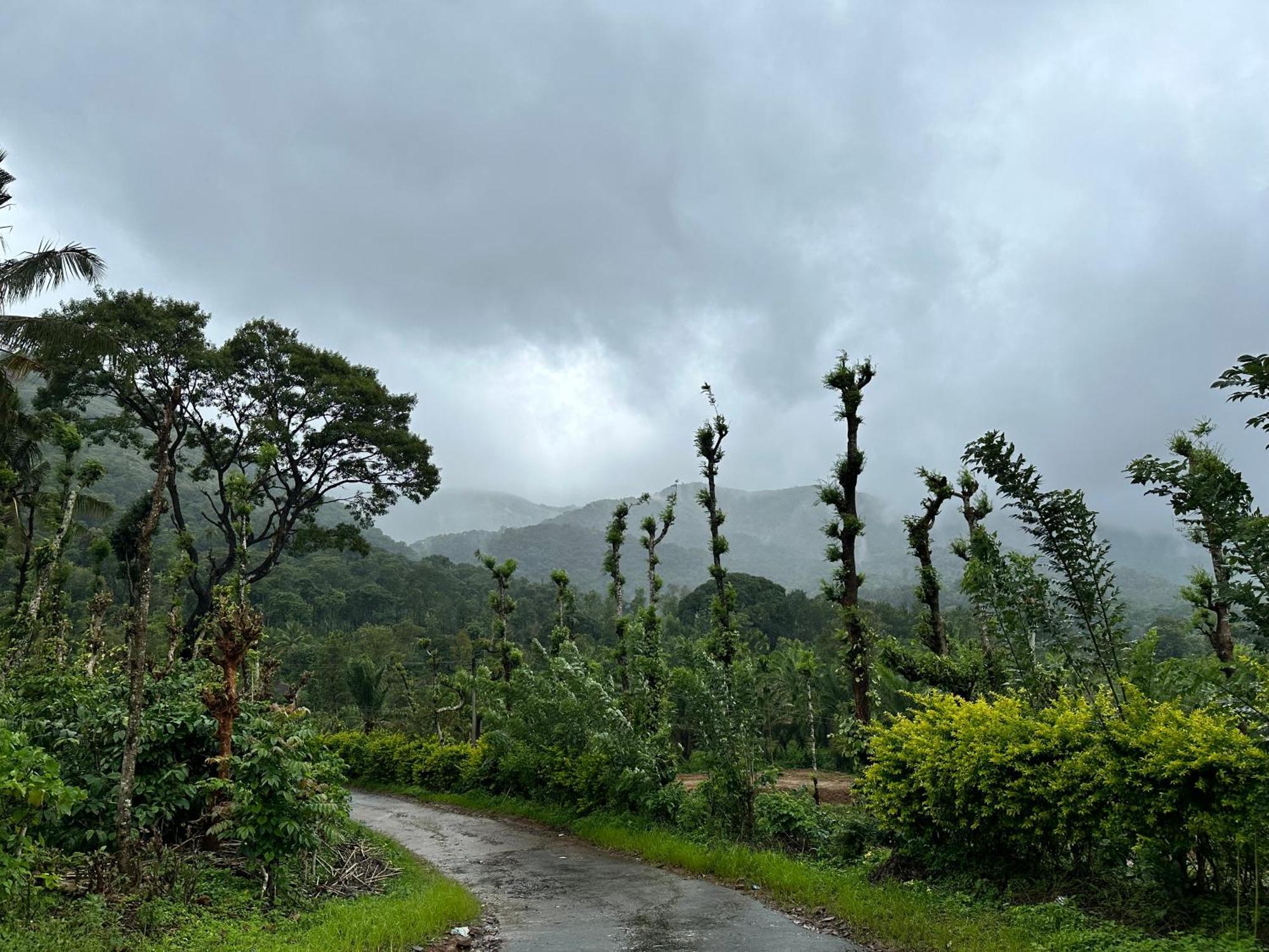 Sherlock Jungle Retreat Srimangala Dış mekan fotoğraf