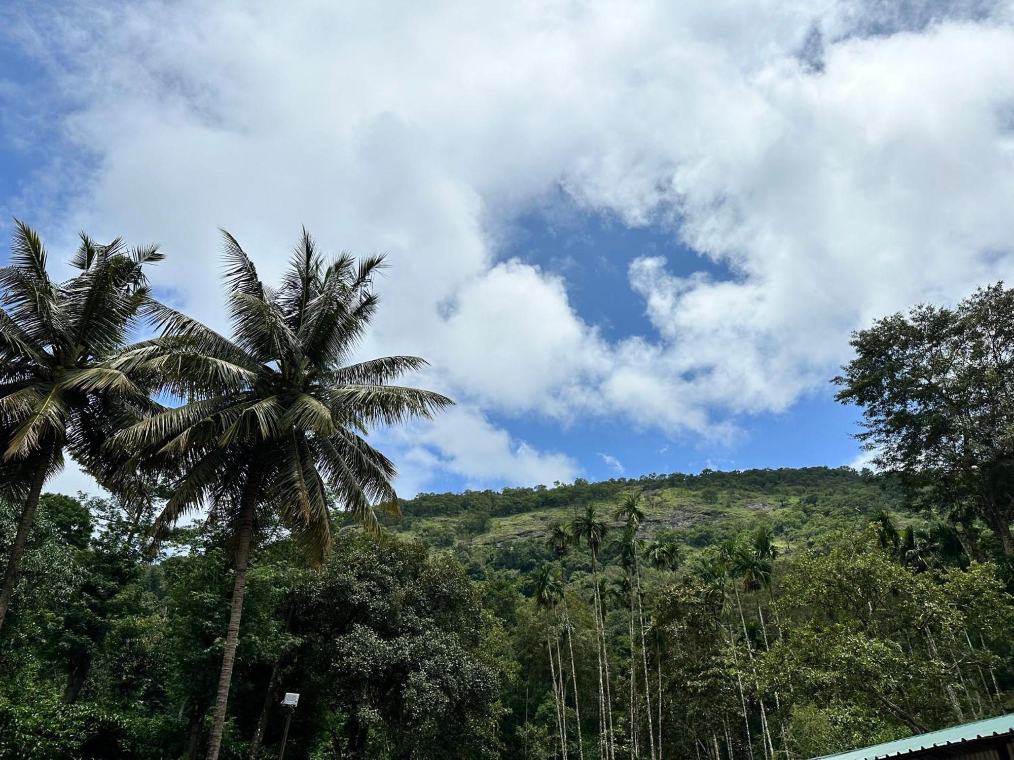 Sherlock Jungle Retreat Srimangala Dış mekan fotoğraf